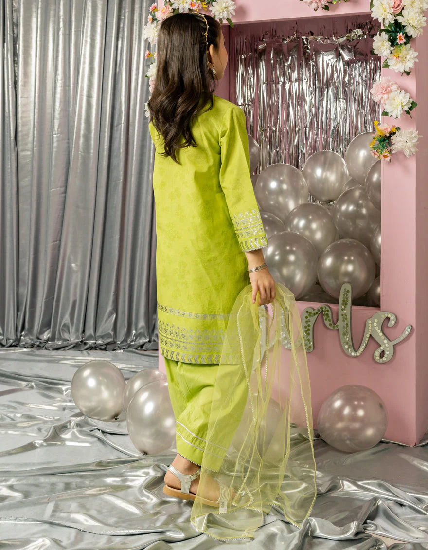 GREEN LAWN 3PC STITCHED | JGK-S-JGP-25-1556 FB/FESTIVE FOIL-02 - Image 2