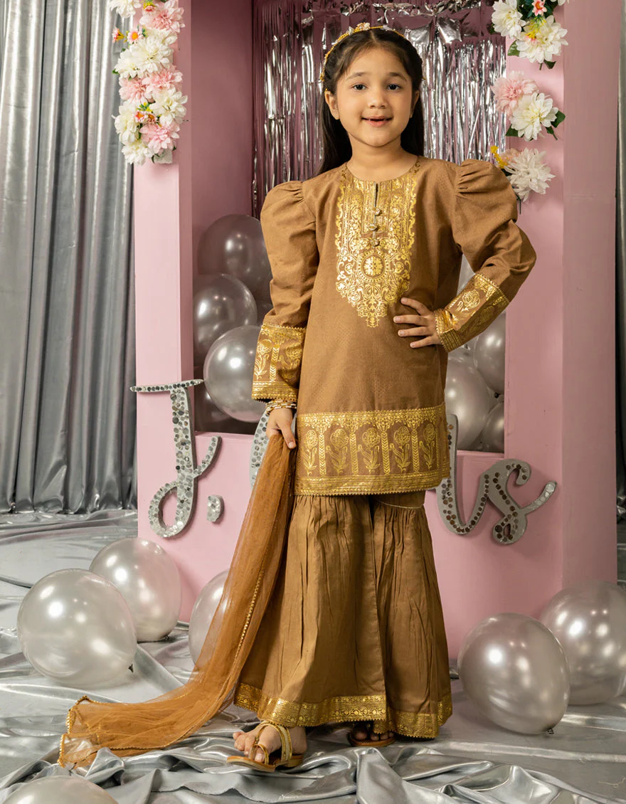 BROWN LAWN 3PC STITCHED | JGK-S-JGP-25-1560 FB/FESTIVE FOIL-06