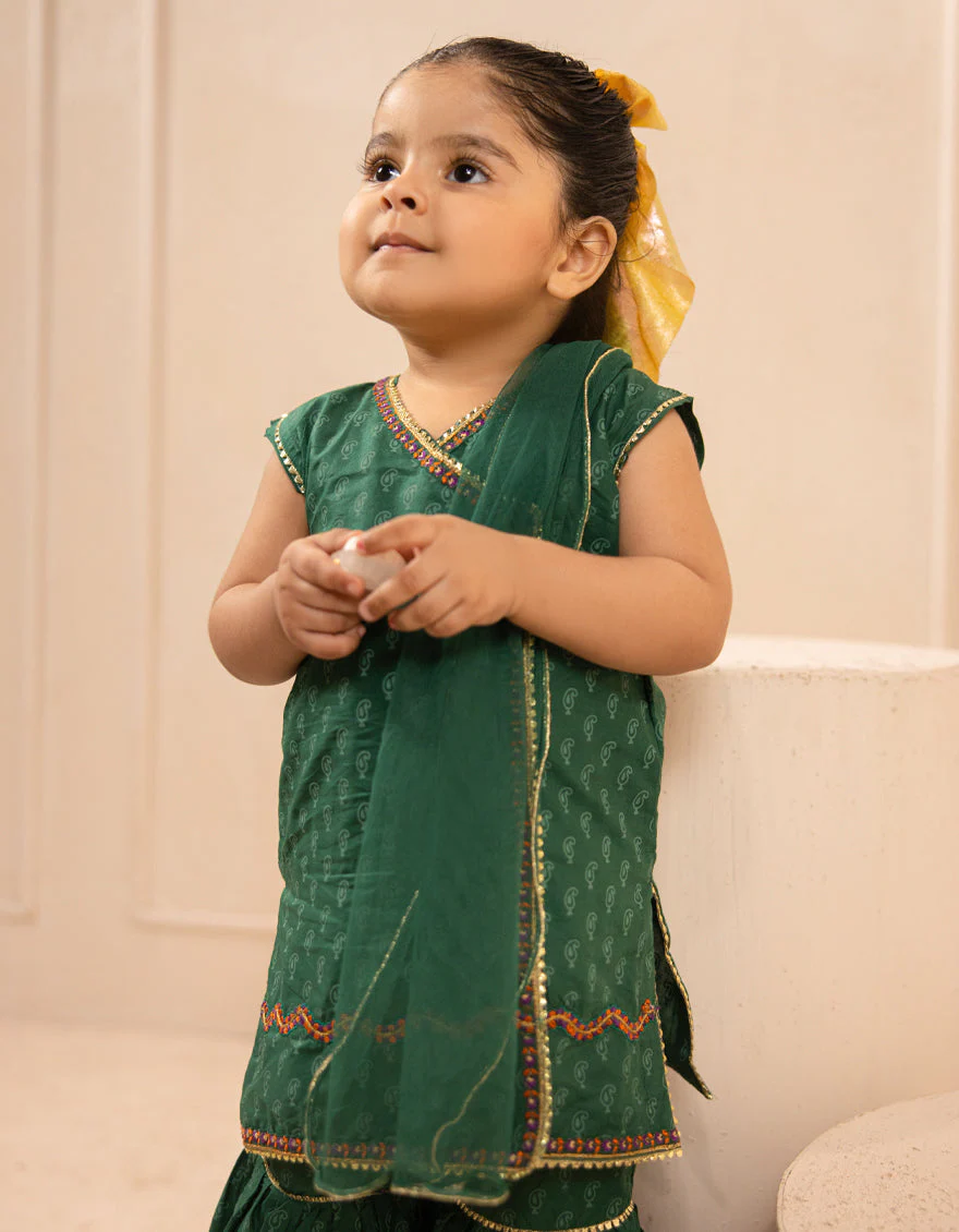 PINK LAWN 3PC STITCHED | JGK-S-JIF-25-1717 FB/IRIS-05 - Image 2