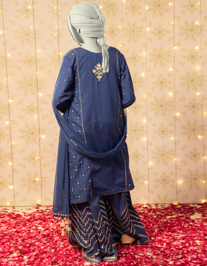 BLUE TEXTURED 3PC STITCHED | JGK-S-JTF-25-754 FB/RANG-E-ZARI-4 - Image 3