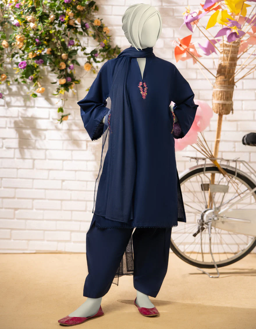 BLUE LAWN 3PC STITCHED | JGK-S-JTP-25-619 FB/DHANAK-1