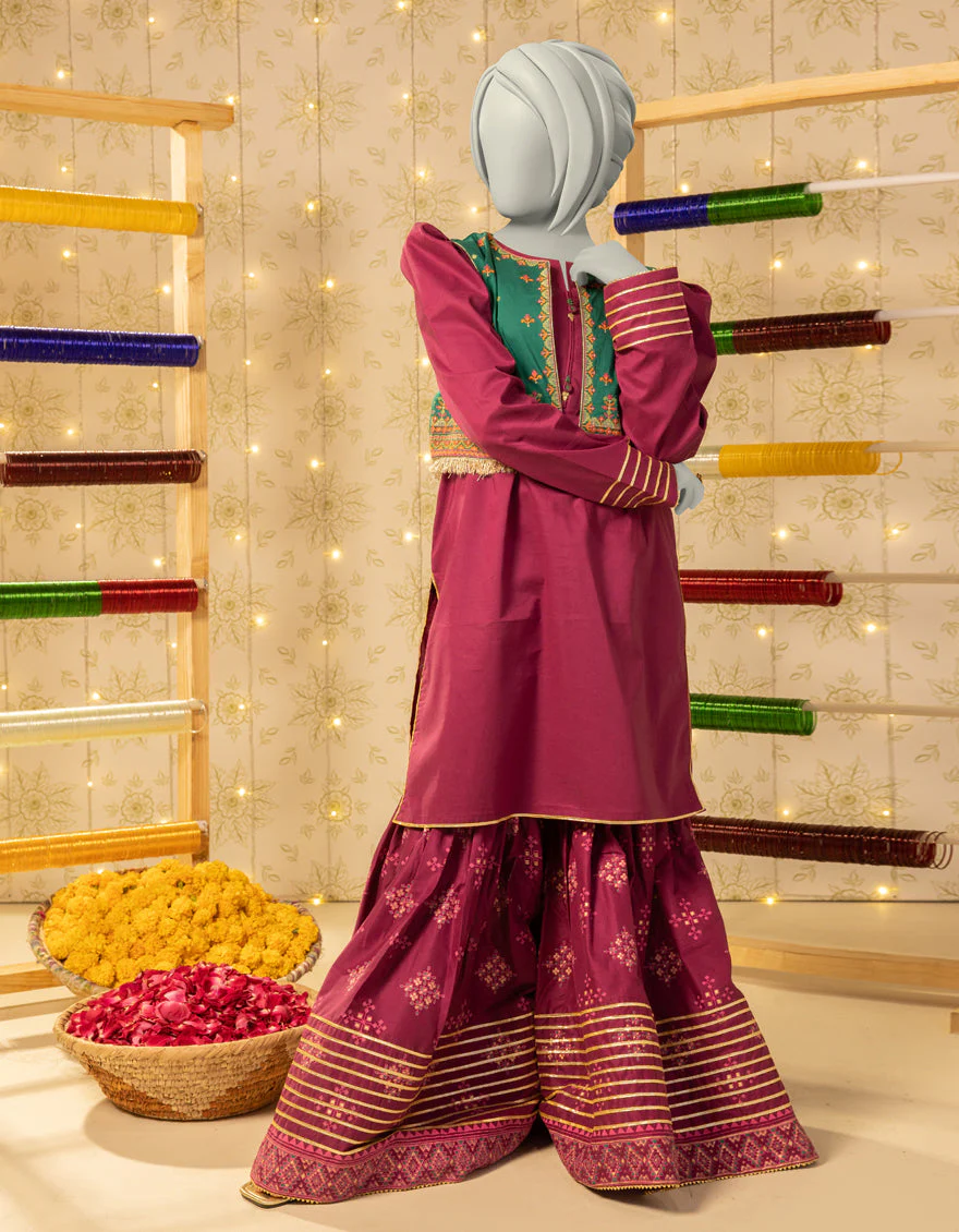 PURPLE LAWN 2PC STITCHED | JGK-S-JTST-25-438 FB/ZARI GUL-02