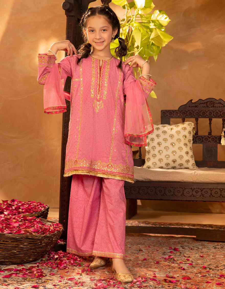 PINK LAWN 3PC STITCHED | JGKL-S-JGF-25-1902 FB/SHIREEN-02