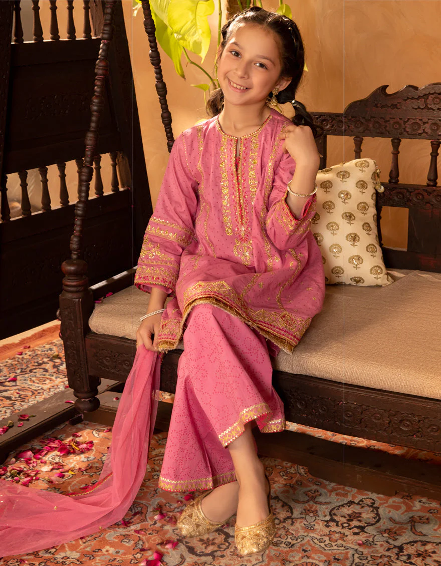 PINK LAWN 3PC STITCHED | JGKL-S-JGF-25-1902 FB/SHIREEN-02 - Image 2