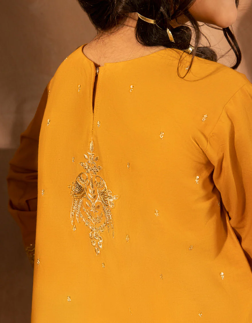 OCHRE LAWN 3PC STITCHED | JGKL-S-JGF-25-1905 FB/SHIREEN-5 - Image 3