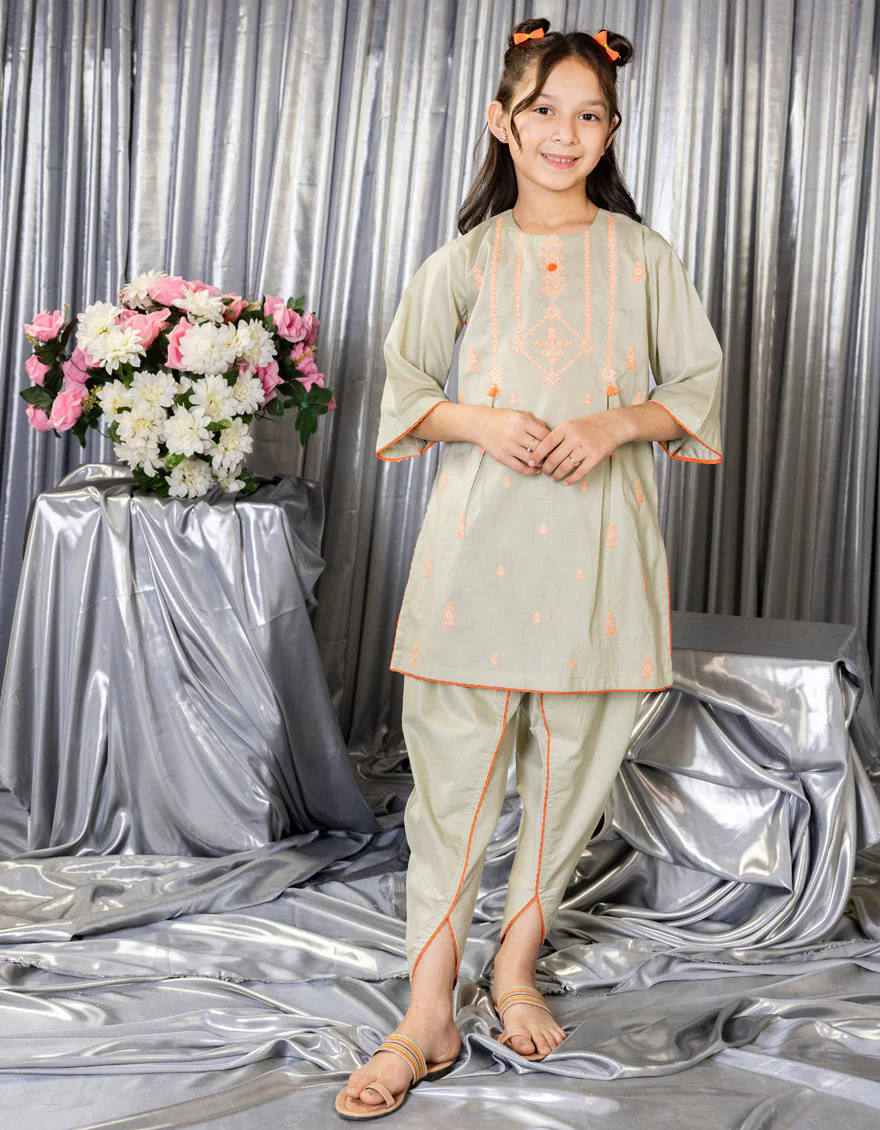 PISTA LAWN 2PC STITCHED | JGKL-S-JGST-25-5623 FB/ETHNIQUE-4