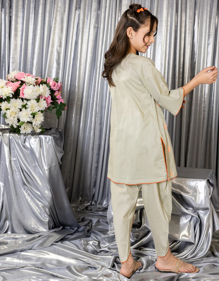 PISTA LAWN 2PC STITCHED | JGKL-S-JGST-25-5623 FB/ETHNIQUE-4 - Image 3