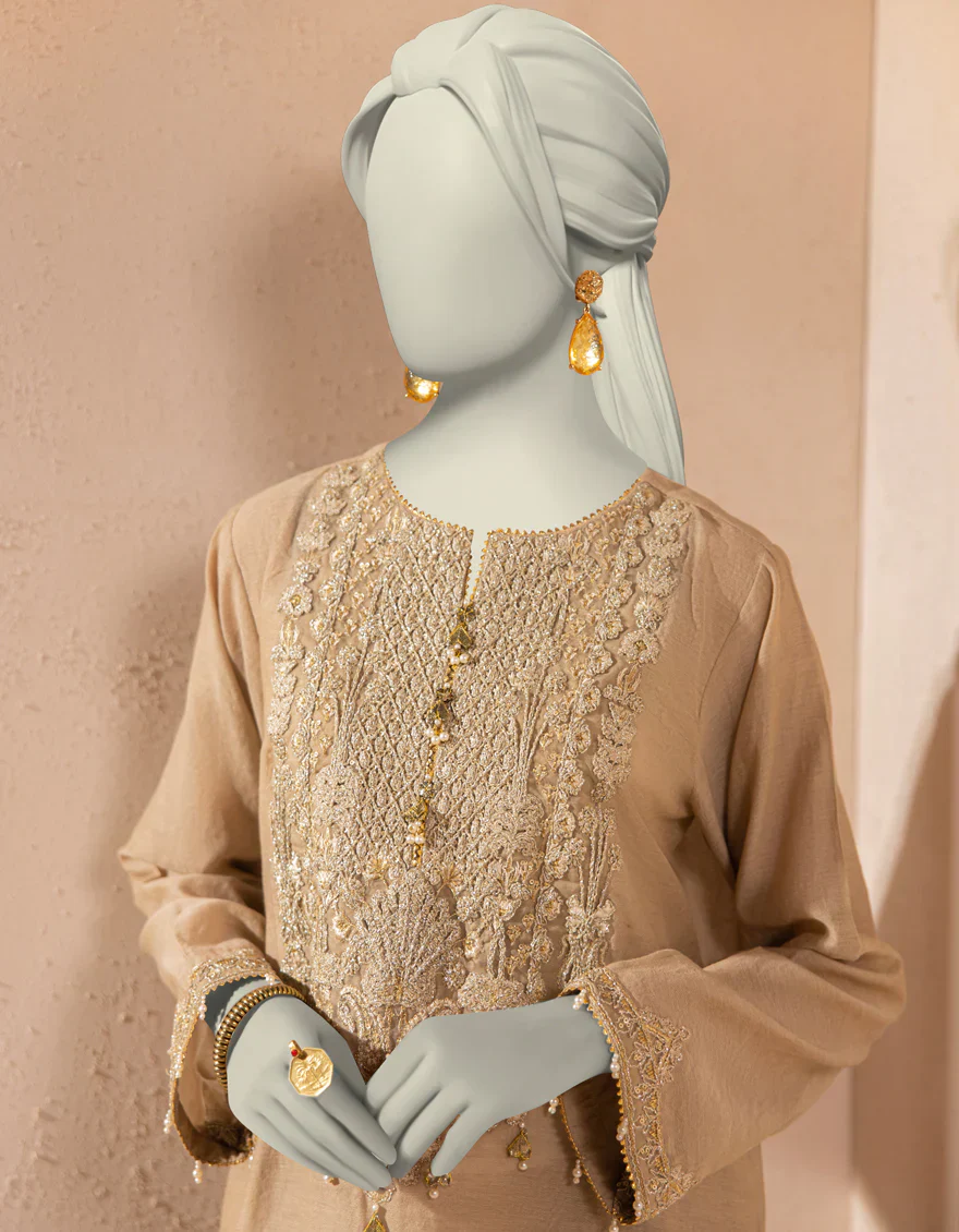 BEIGE ORGANZA KURTI | JJLK-S-JFS-25-214 FB/ELFESYA-4 - Image 3