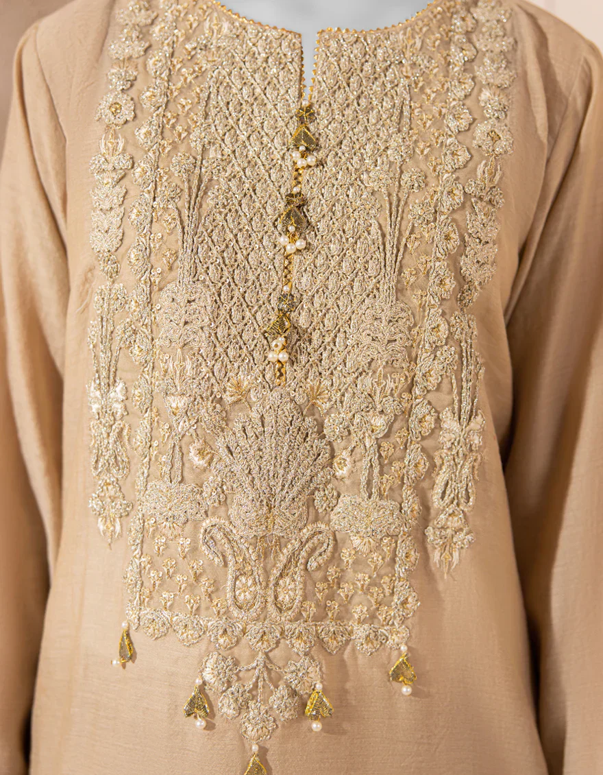 BEIGE ORGANZA KURTI | JJLK-S-JFS-25-214 FB/ELFESYA-4 - Image 4
