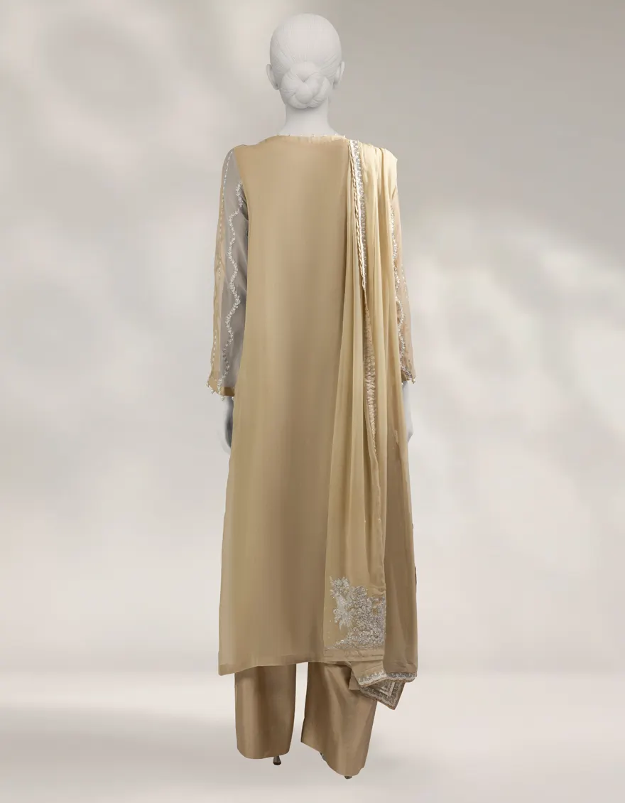 BEIGE CHIFFON 3PC UNSTITCHED | JJLS-S-JFU-25-712 FB/FALAK-4 - Image 2