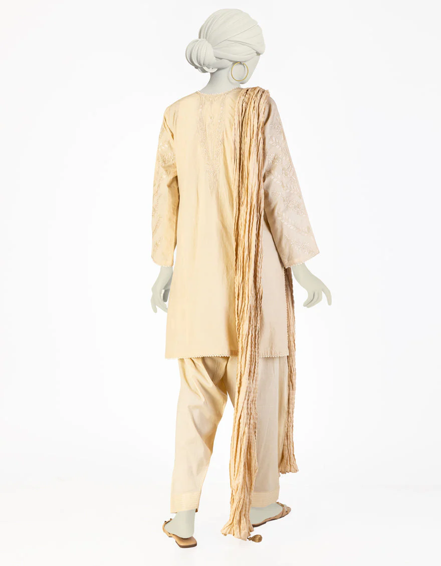BEIGE LAWN 3PC STITCHED | JLAWN-S-25-134/S CHICKEN KARI-2 - Image 2
