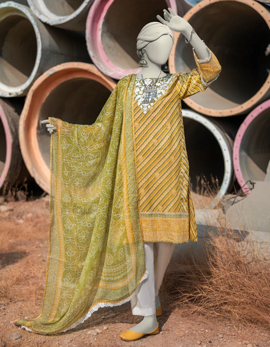 GREEN LAWN 2PC STITCHED | JLAWN-S-JDS-25-1002/S LEHRIA CHUNRI-02