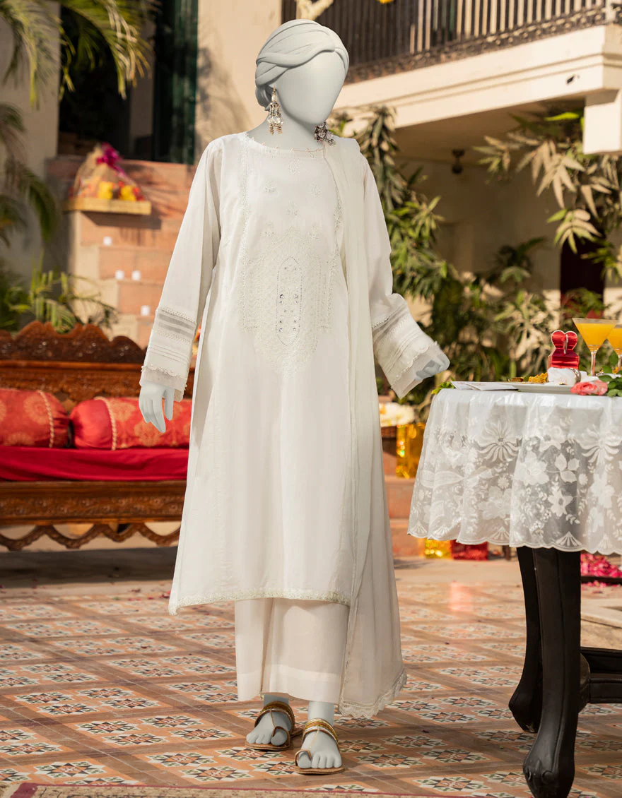 PISTA LAWN 2PC STITCHED | JLAWN-S-JDS-25-1085/S JAIPUR-02