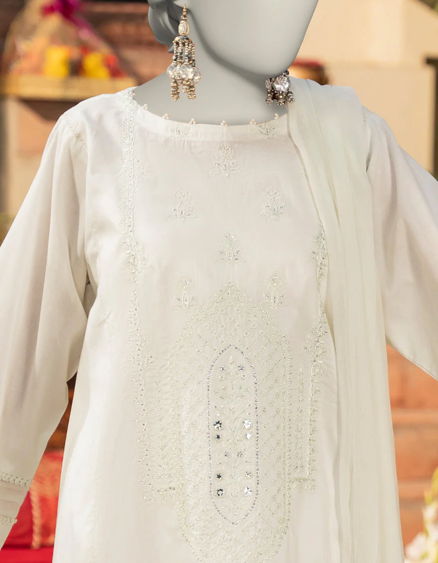 PISTA LAWN 2PC STITCHED | JLAWN-S-JDS-25-1085/S JAIPUR-02 - Image 2