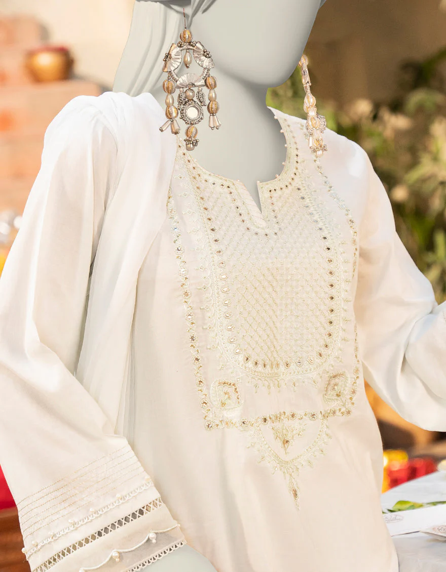 PISTA LAWN 2PC STITCHED | JLAWN-S-JDS-25-1086/S JAIPUR-03 - Image 3