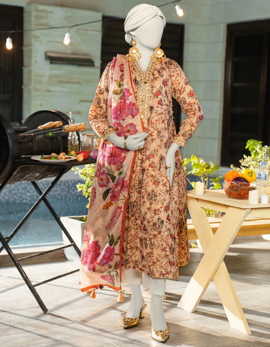 BEIGE CHIFFON 2PC STITCHED | JLAWN-S-JDS-25-1117/S RAJ HERITAGE-02