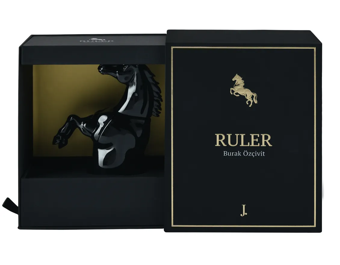 RULER - Image 4